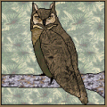 Great Horned Owl Pattern