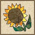 Sunflower Pattern