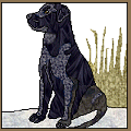 Black Lab Pattern