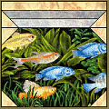 Fish Bowl Pattern